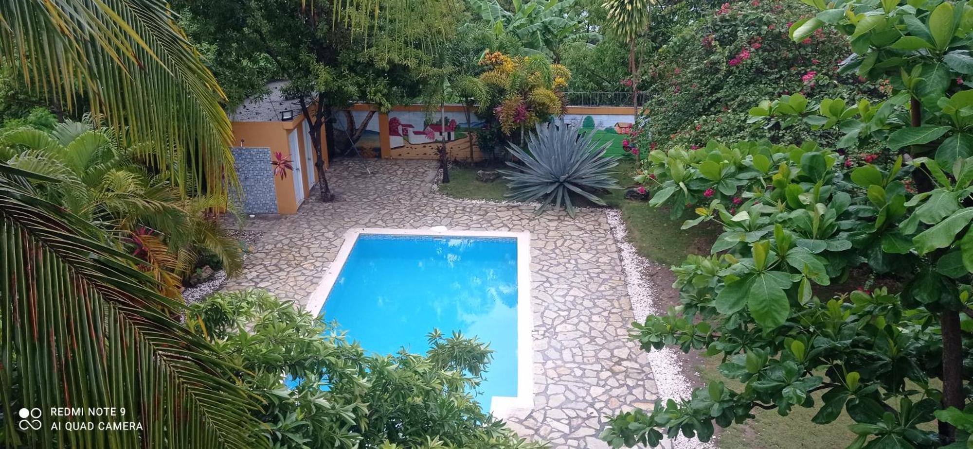 Los Palmares Guest House & Eventos San Cristobal Exterior photo