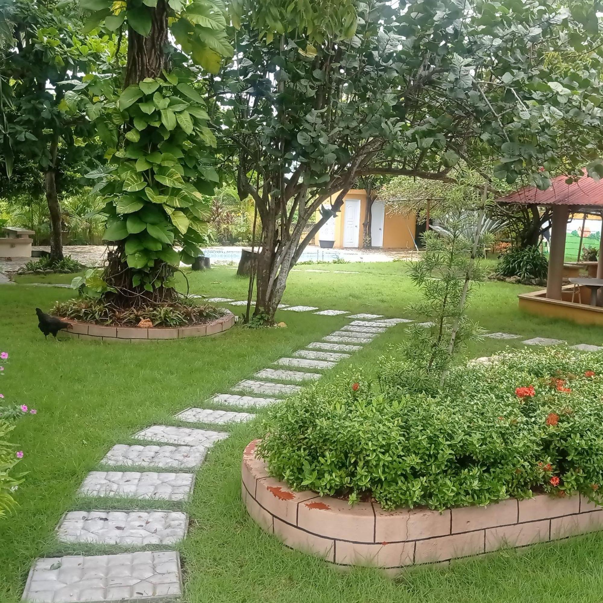 Los Palmares Guest House & Eventos San Cristobal Exterior photo