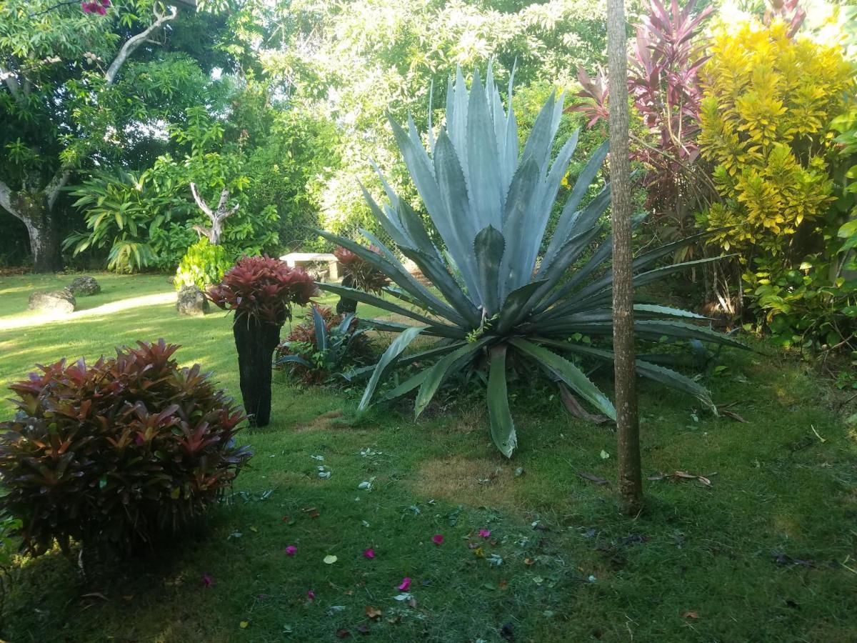 Los Palmares Guest House & Eventos San Cristobal Exterior photo